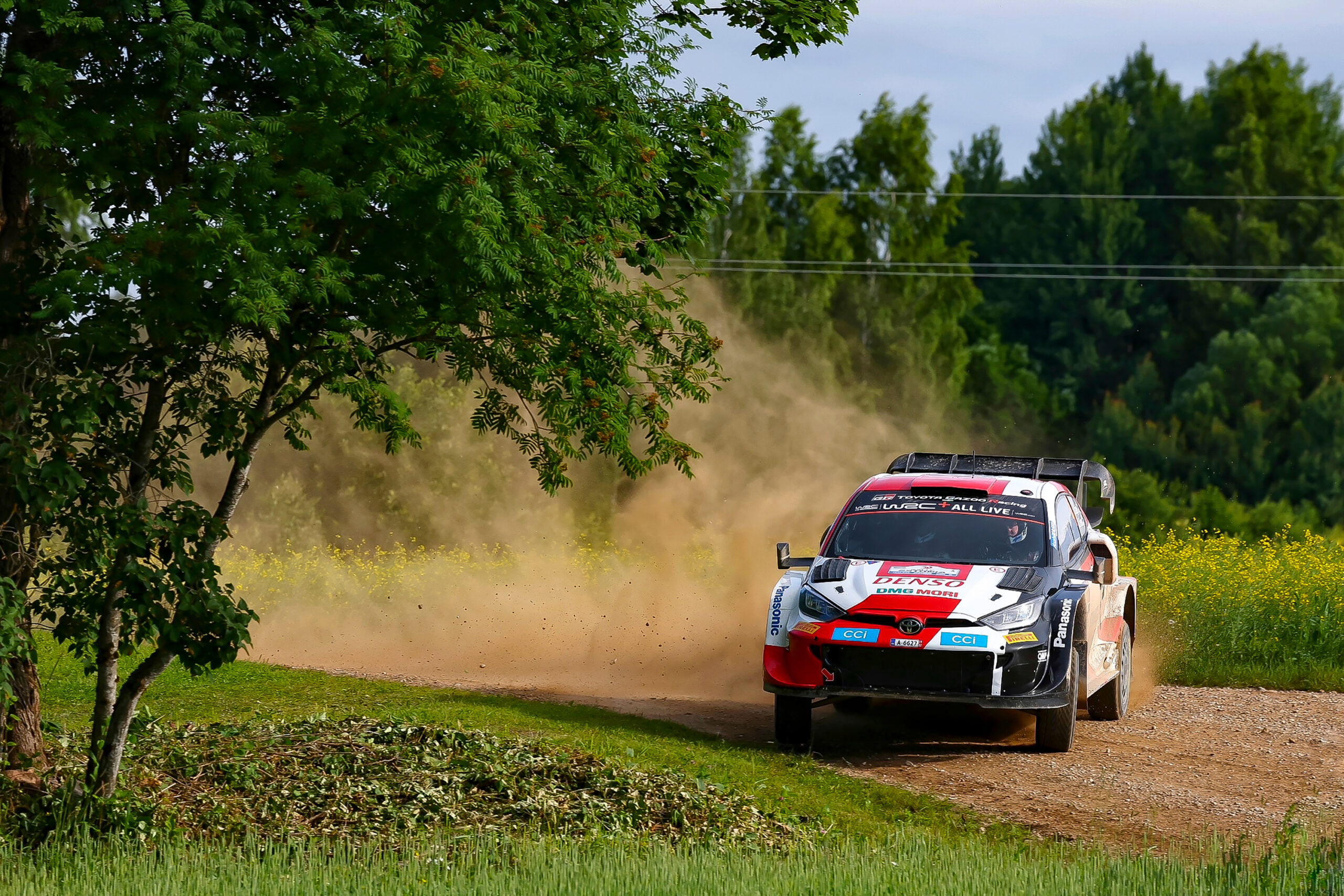 Rovanperä lo volvió a hacer, y… ¡Toyota hace el 1-2 en el Rally de Estonia!
