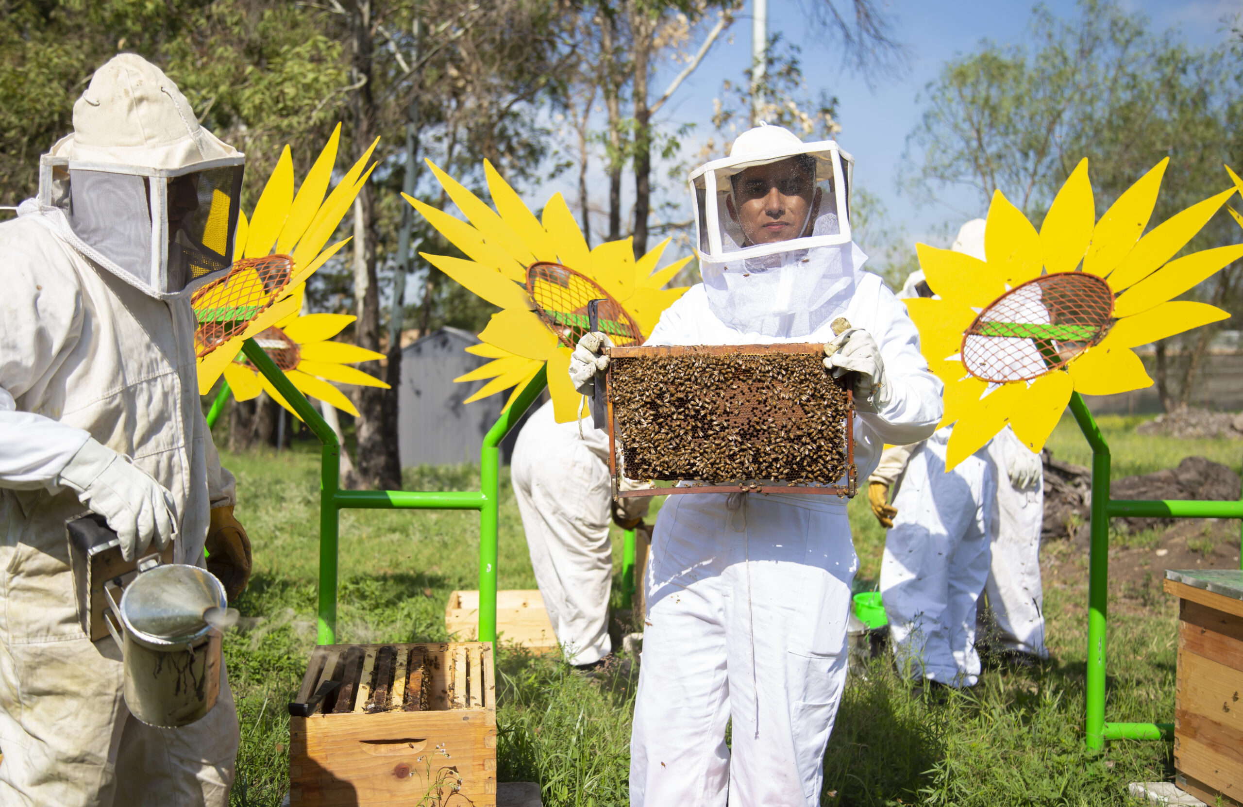 Ford Cuautitlán, lista para recibir hasta 70 mil abejas en su primer apiario