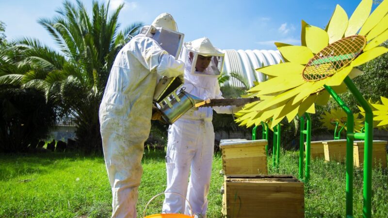 La Planta de Ford Cuautitlán es la casa de 80,000 abejas