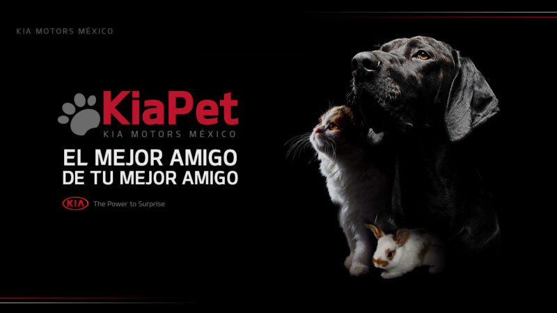 Kia y Dogs for Love colaboran en programa de apadrinamiento para perros en espera de ser adoptados
