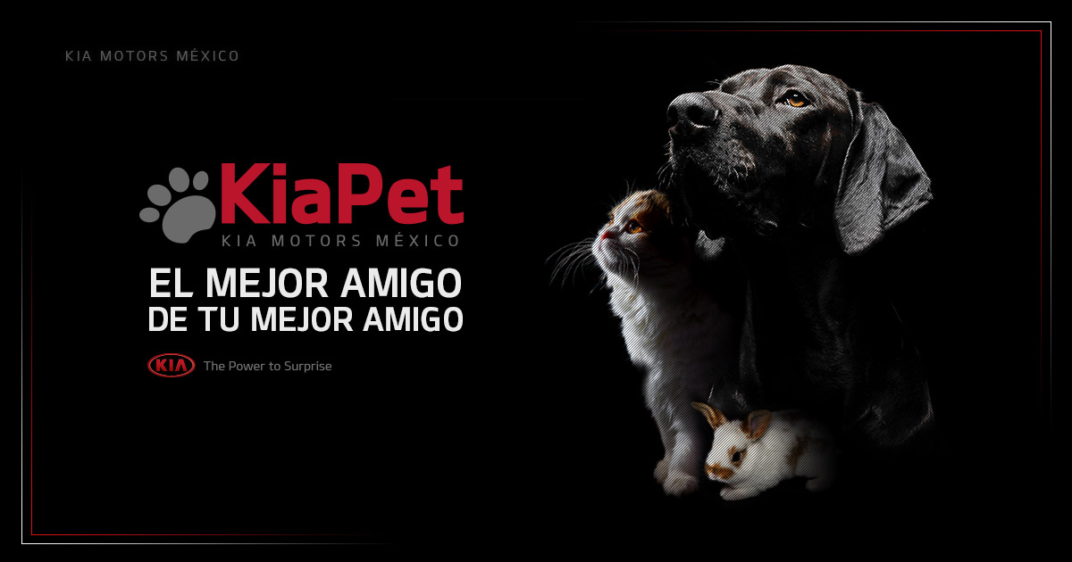Kia y Dogs for Love colaboran en programa de apadrinamiento para perros en espera de ser adoptados