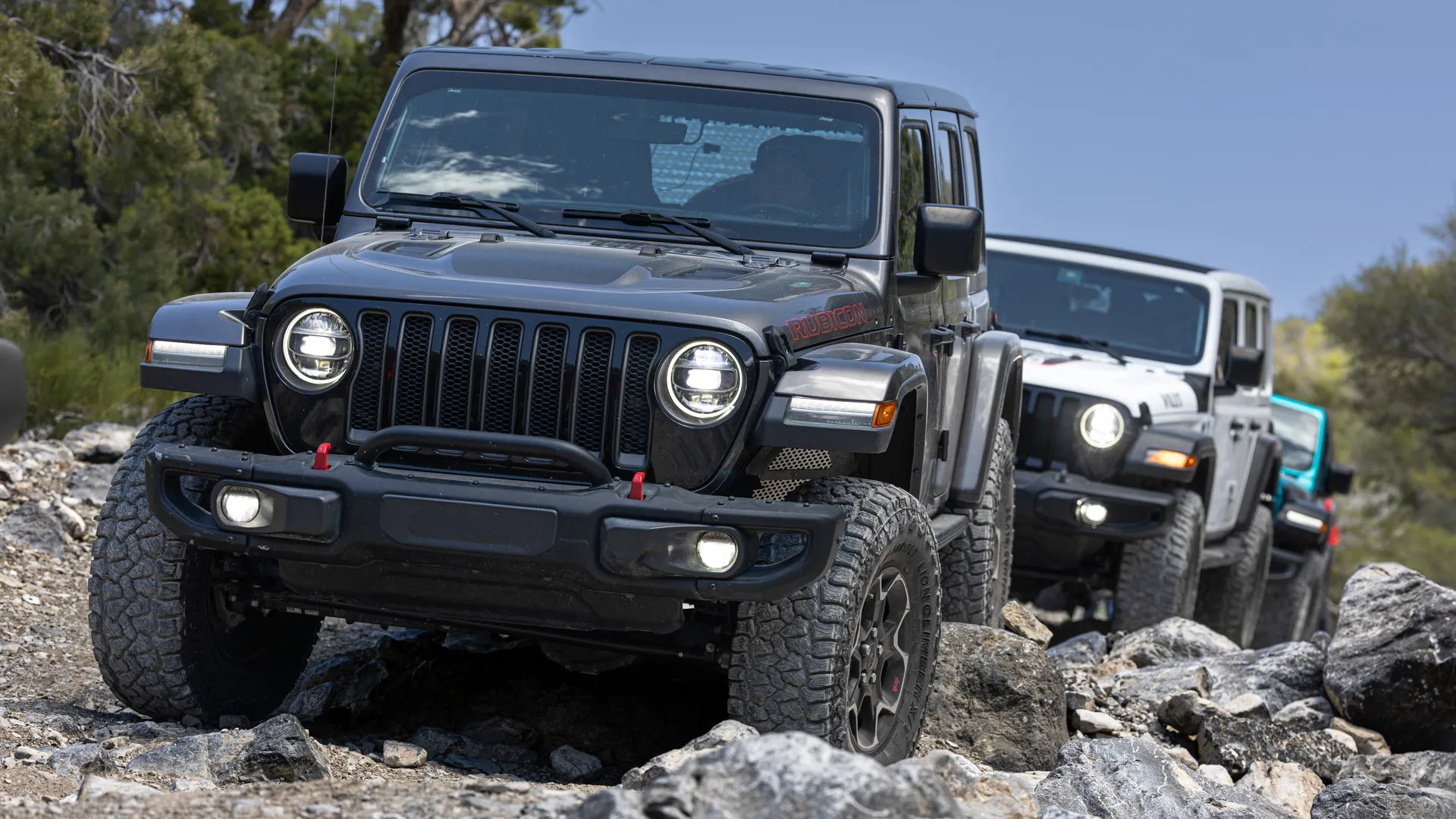 Leao Lion Climbers on Wranglers.