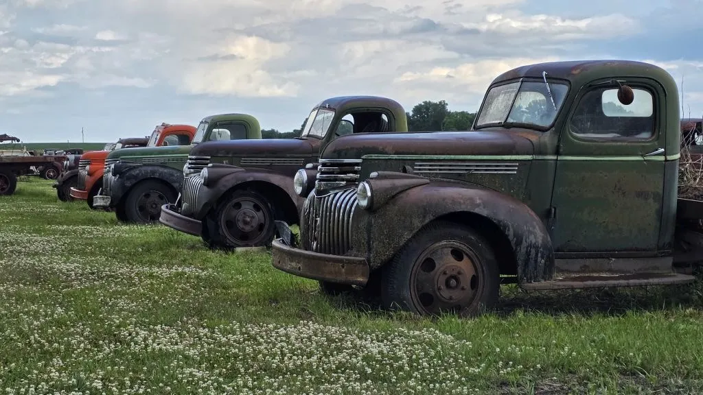 Line of old trucks headed to auction